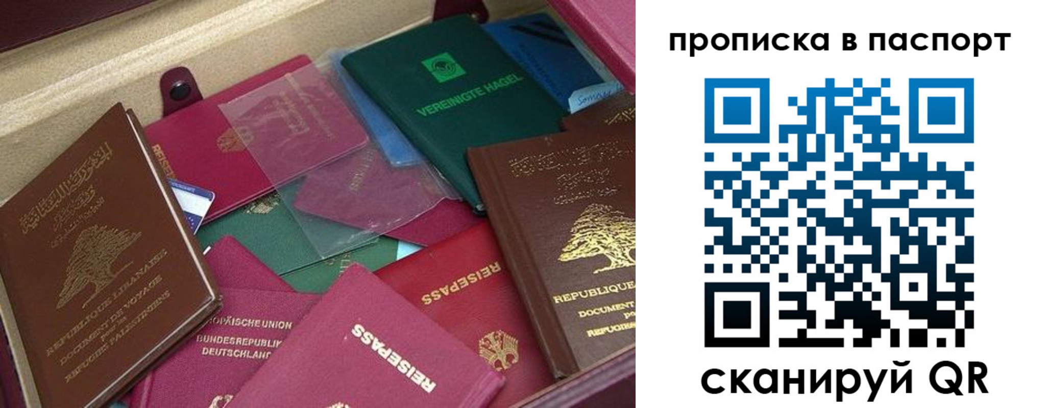 временная регистрация для школы в Белоозёрском